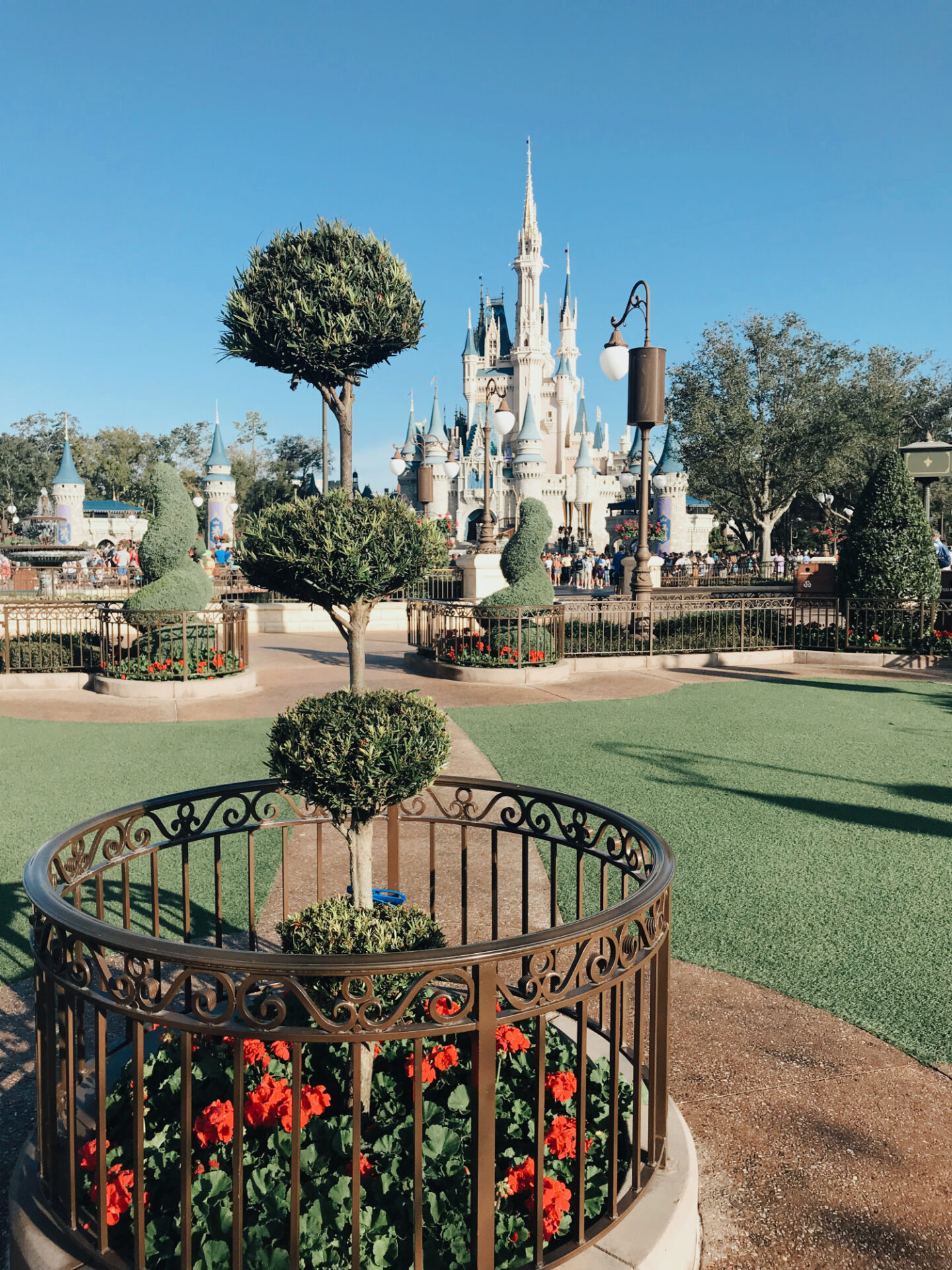 Disney world gardens with flowers