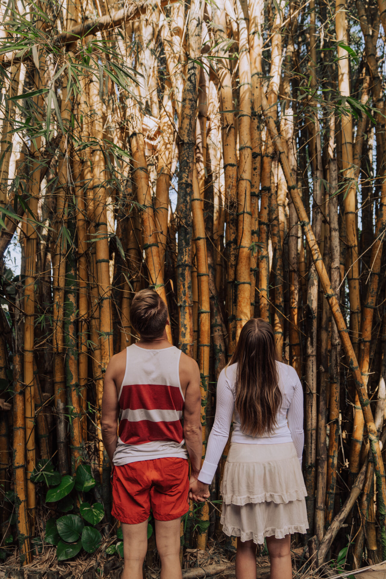 a young couple holding hands looking up at yellow bamboo shoots.