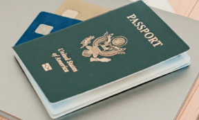 Favorite Cards for Beginners